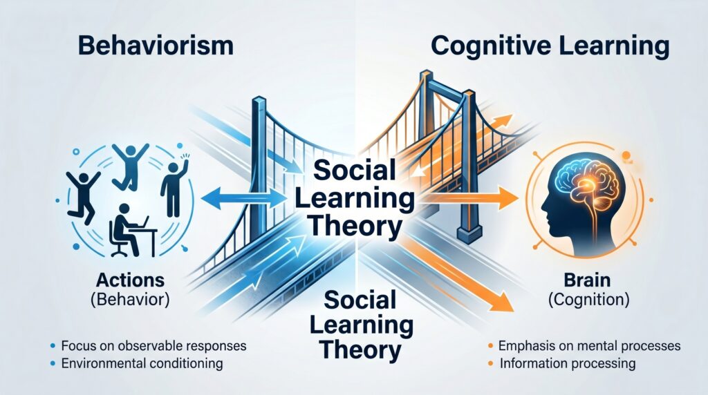 Learning in Social Learning Theory appeared many times in this time’s NET exam, so it becomes important, and you have to remember that Social Learning Theory works like a bridge. The question often asks how Albert Bandura’s theory works, so it works like a bridge between behavior and cognitive learning.