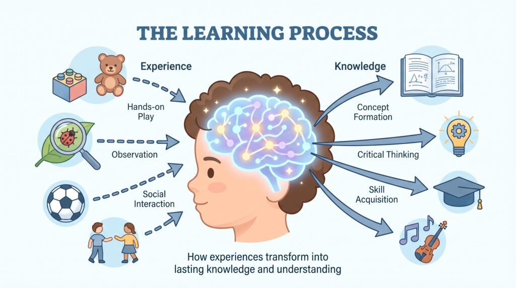 Jerome Bruner's Cognitive Development Theory explains how a children learn and represent knowledge as they grow. According to this theory, learning is an active process. Therefore, children construct new ideas based on their current and past knowledge.